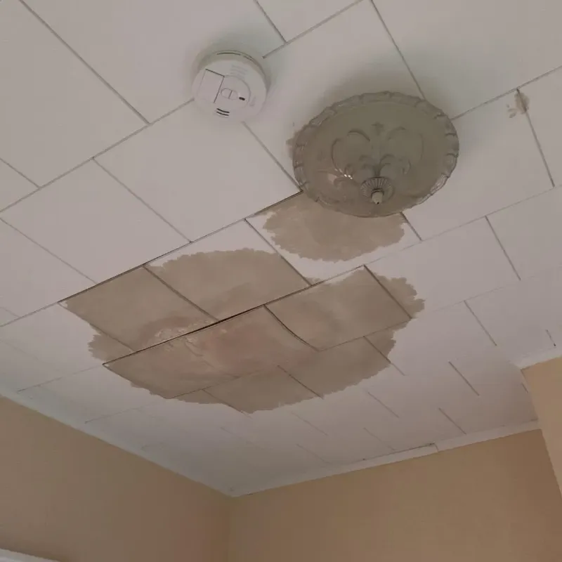 Ceiling Water Damage Repair in Atkins, VA
