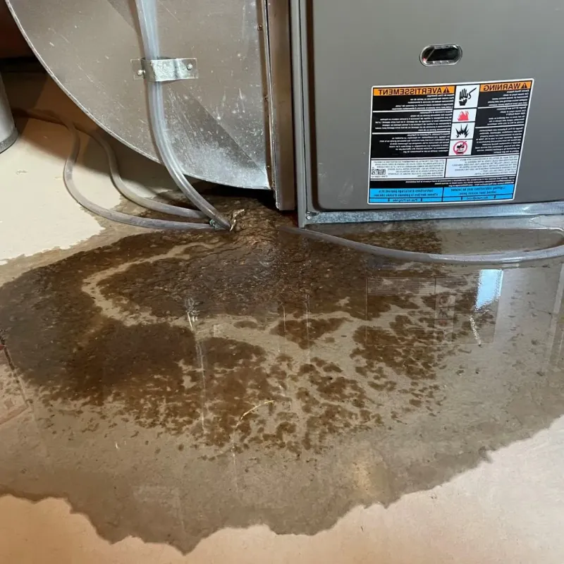 Pipe Burst and Leak Restoration in Atkins, VA