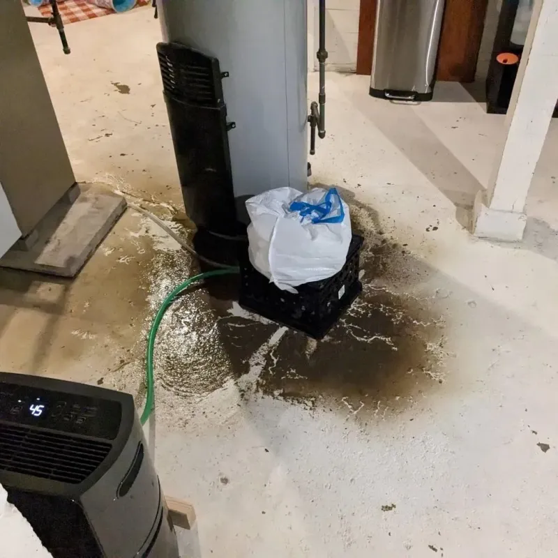 Sewage Backup Cleanup Service in Atkins, VA